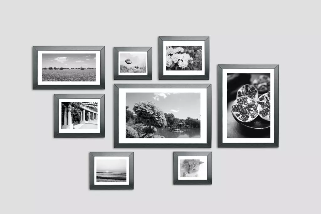 fotografie